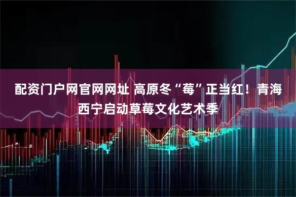 配资门户网官网网址 高原冬“莓”正当红！青海西宁启动草莓文化艺术季