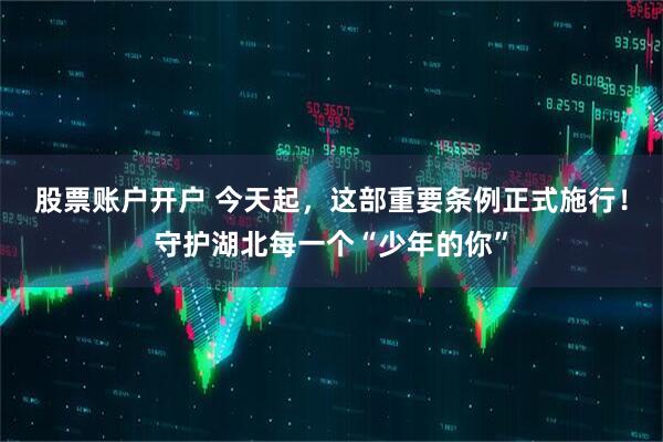 股票账户开户 今天起，这部重要条例正式施行！守护湖北每一个“少年的你”